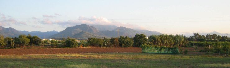 View of Peloritana Mountains from the end of the property